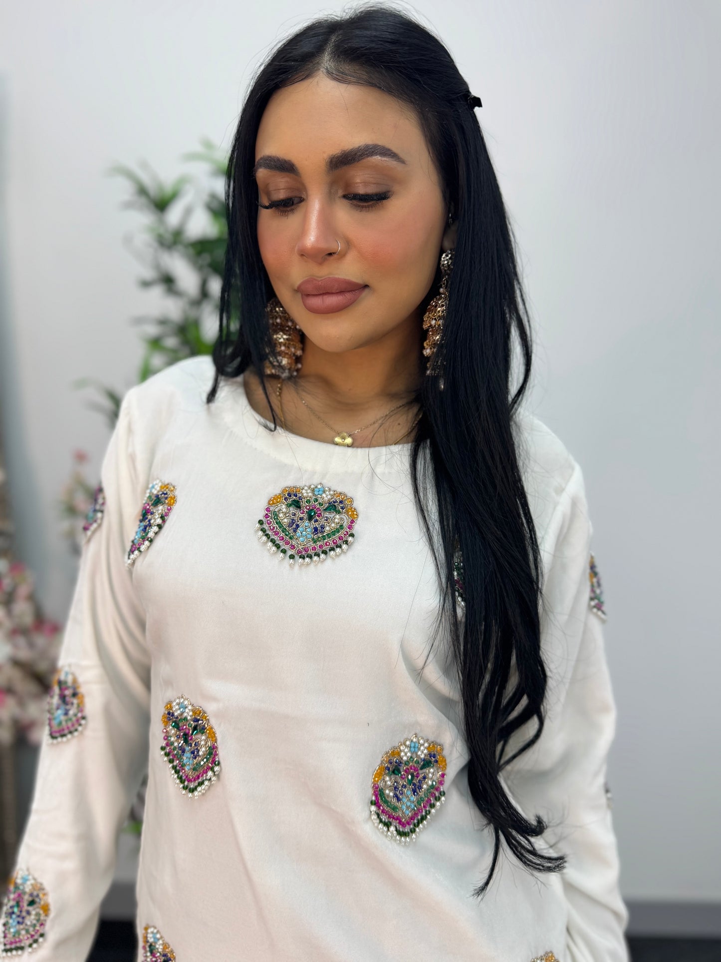 Meena Kaari -