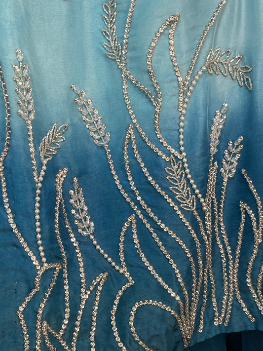 (Preorder 5 weeks ) Rabia - Farshi Shalwar - Blue