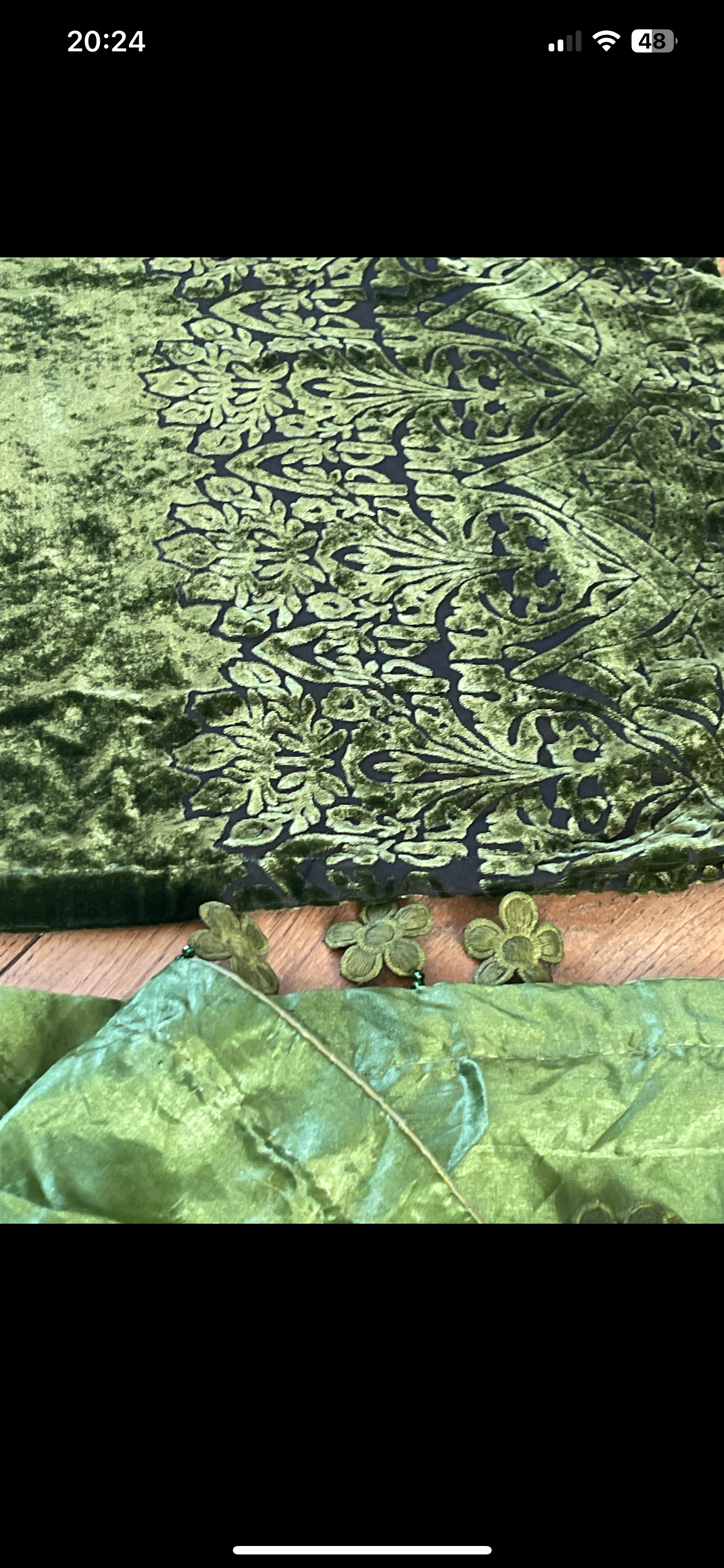 Olivia - Sheesha X Velvet Olive Green Plachi Daman with silk dupatta winter