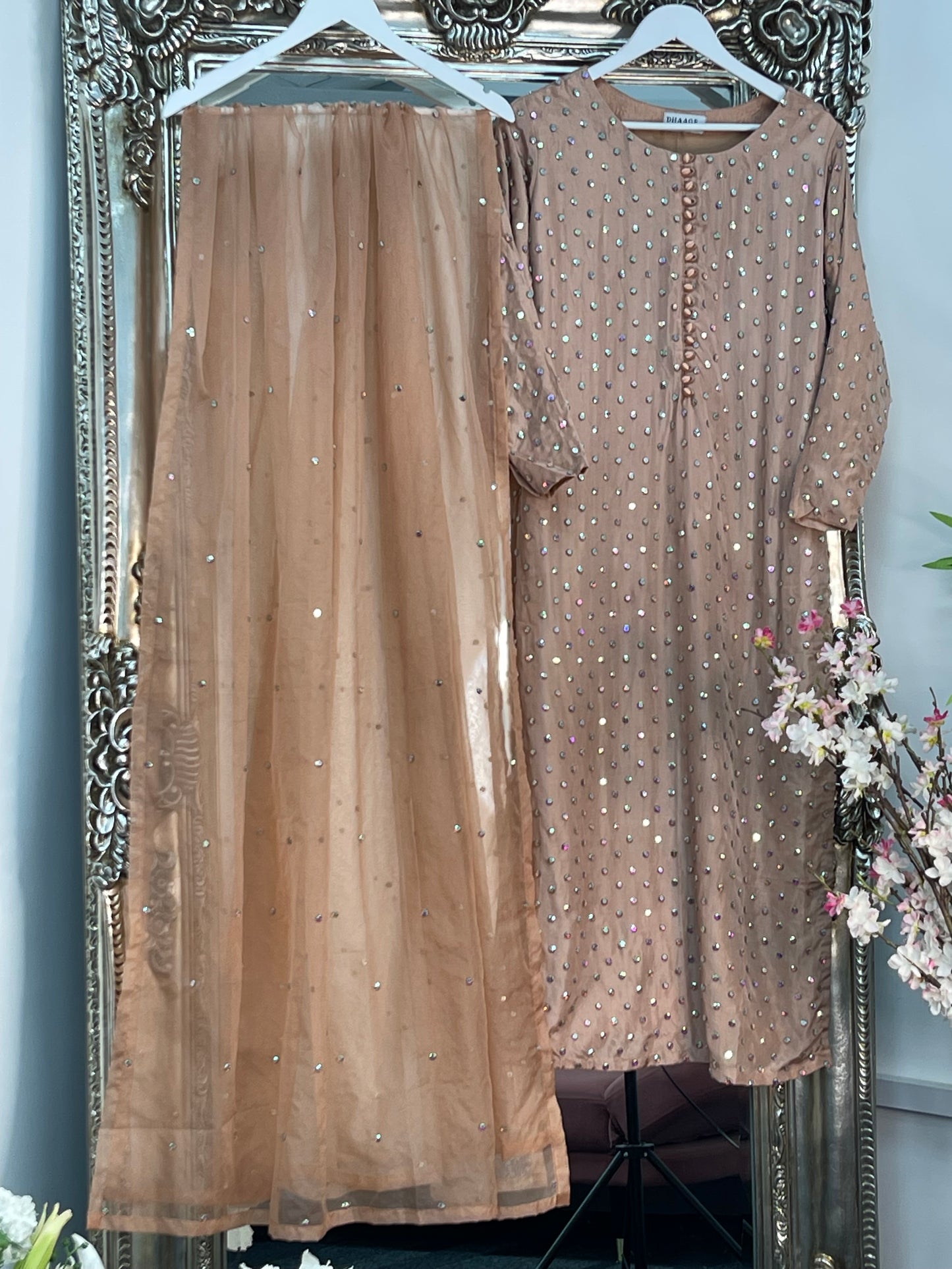 Chaandni  Raatain - Peach