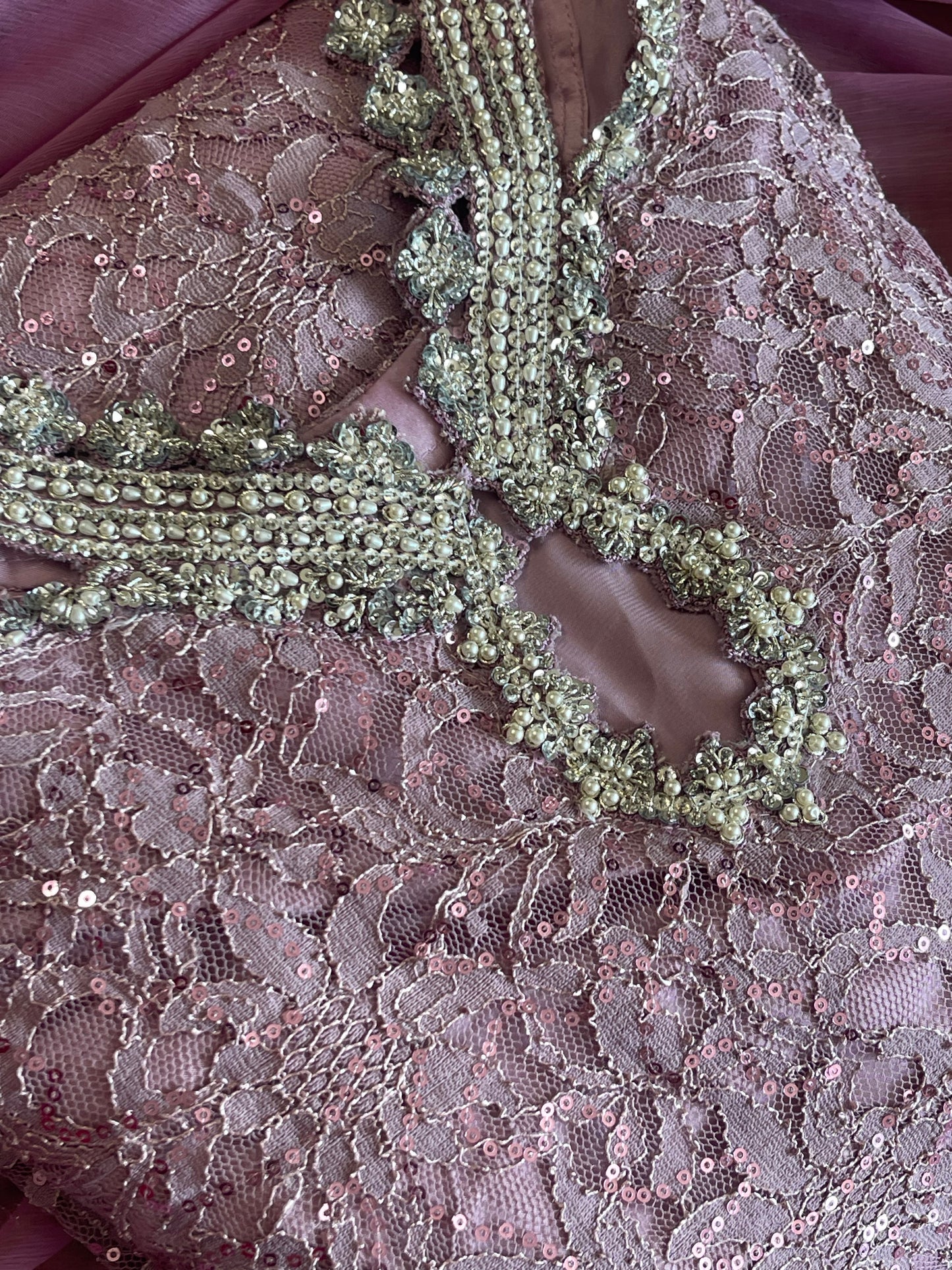 Chantilly Pink - Silver Party Wear - Sequined Net - V