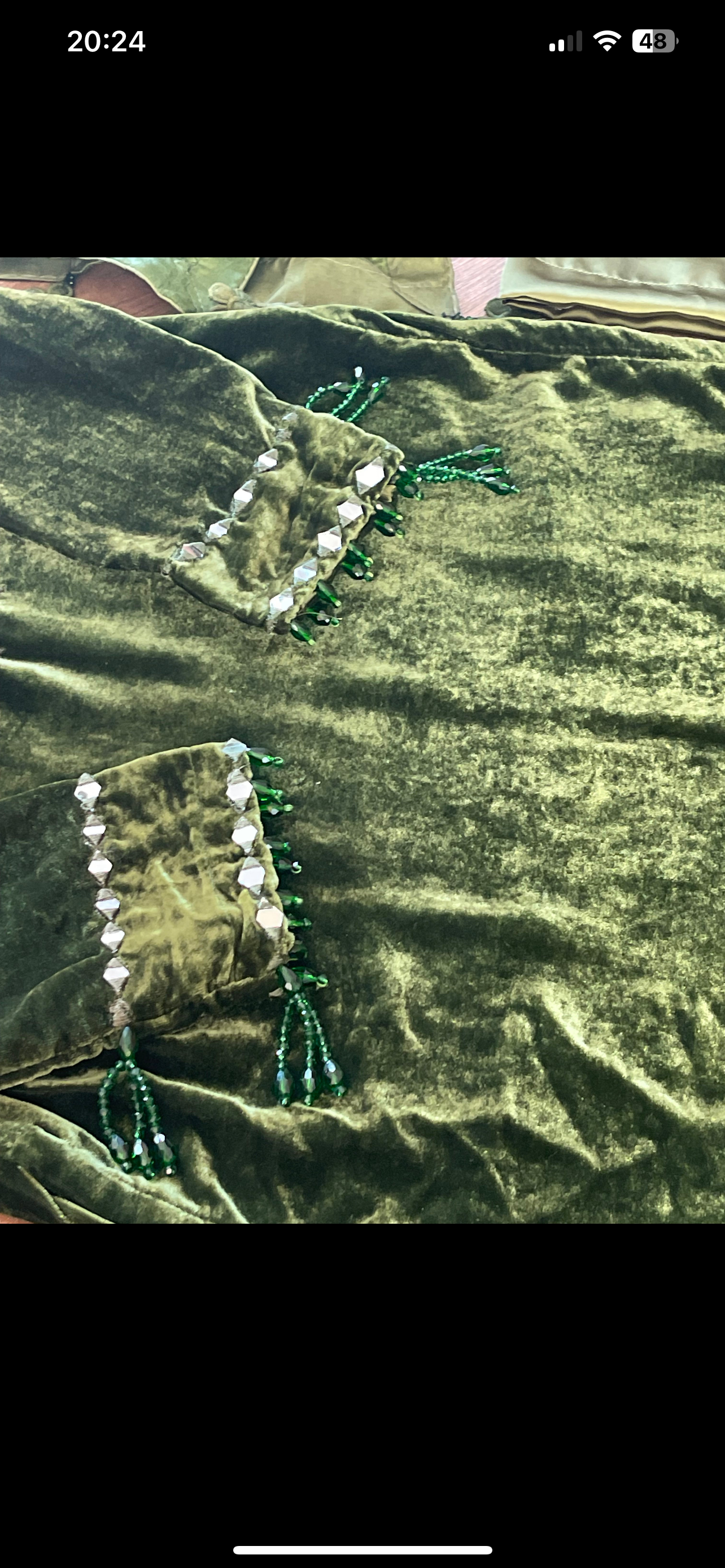 Olivia - Sheesha X Velvet Olive Green Plachi Daman with silk dupatta winter