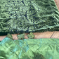 Olivia - Sheesha X Velvet Olive Green Plachi Daman with silk dupatta winter