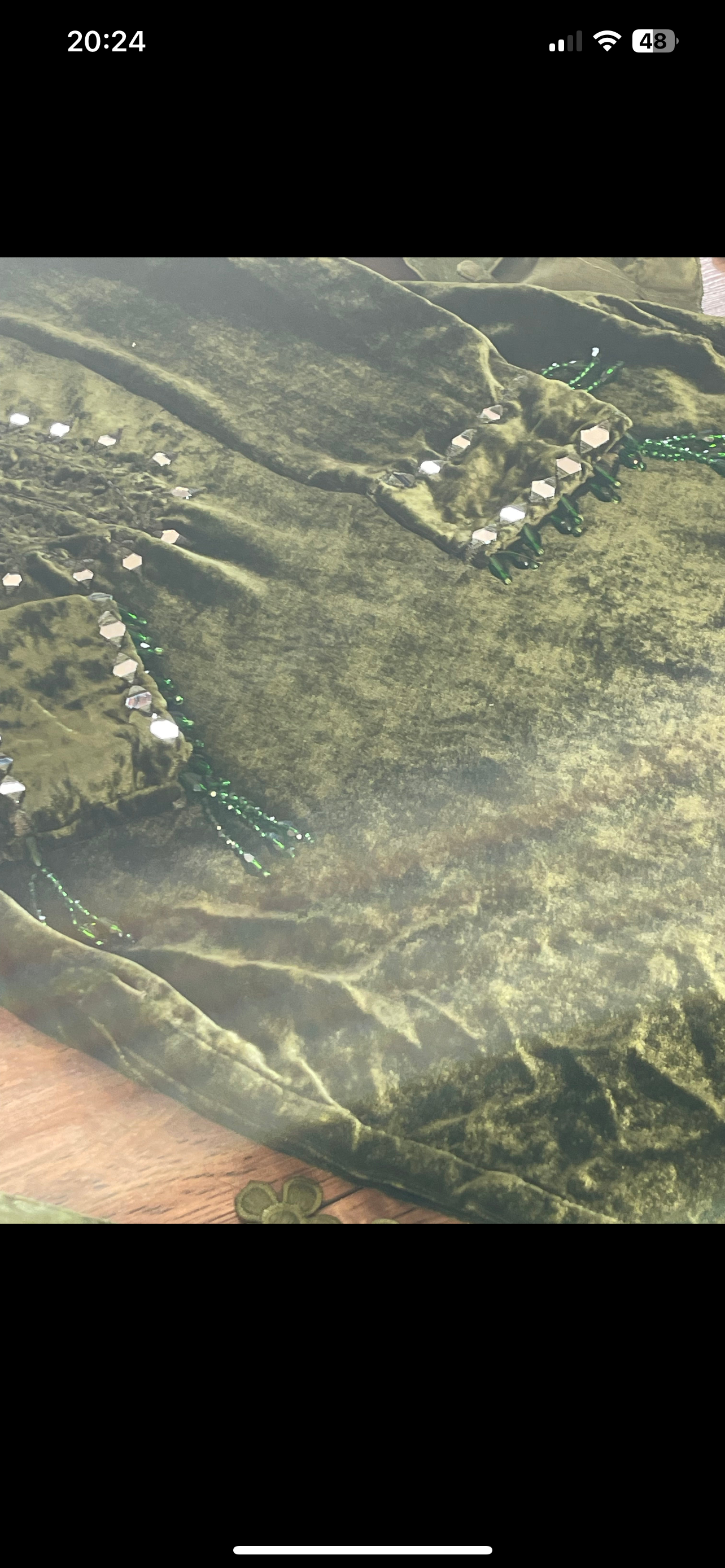 Olivia - Sheesha X Velvet Olive Green Plachi Daman with silk dupatta winter