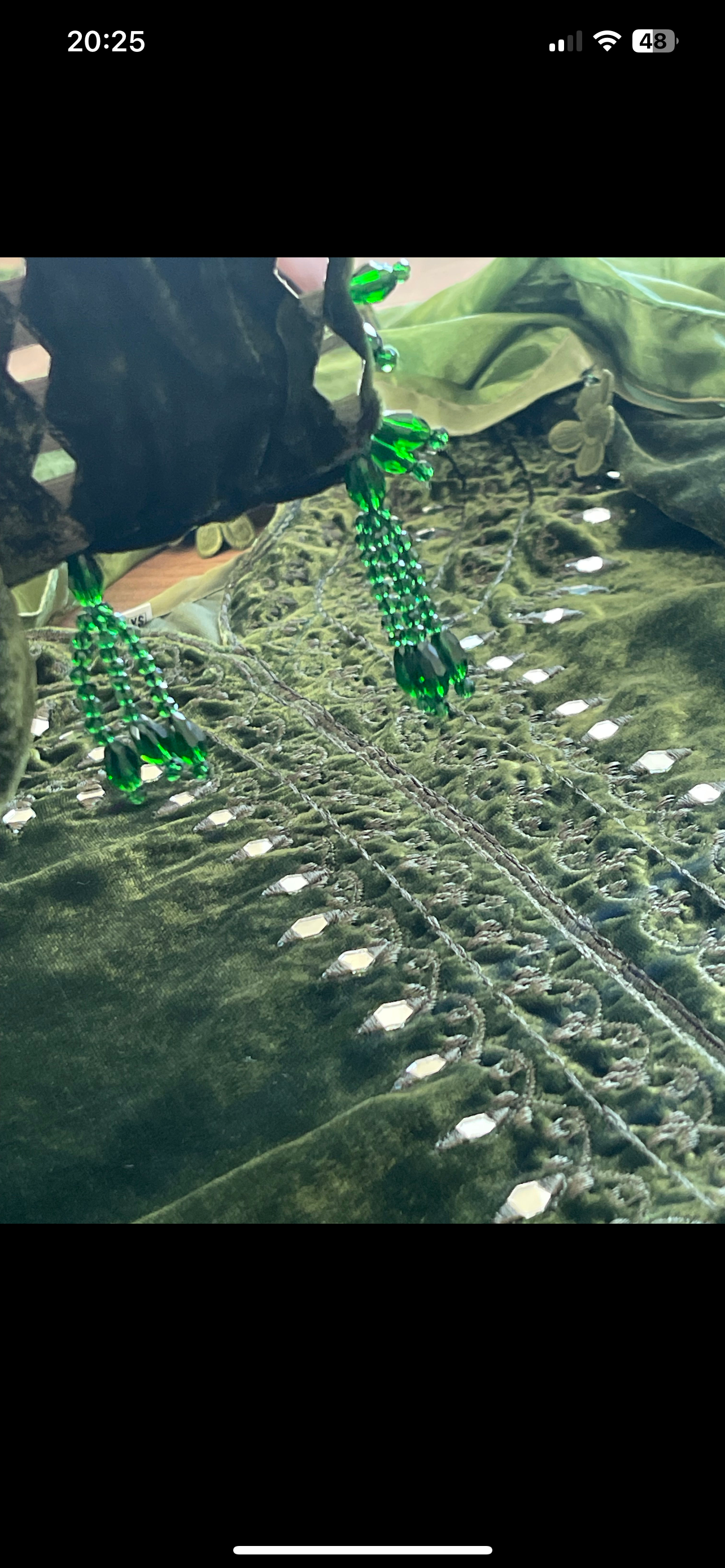 Olivia - Sheesha X Velvet Olive Green Plachi Daman with silk dupatta winter