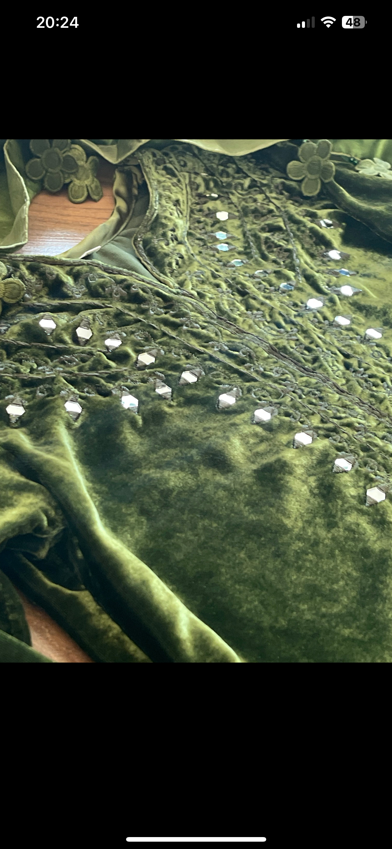 Olivia - Sheesha X Velvet Olive Green Plachi Daman with silk dupatta winter