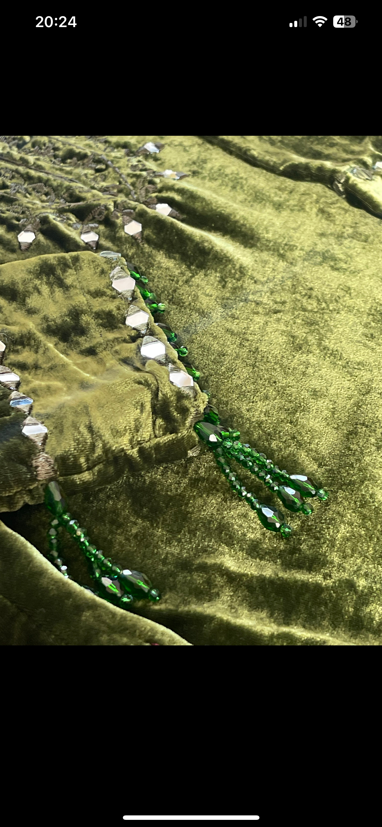 Olivia - Sheesha X Velvet Olive Green Plachi Daman with silk dupatta winter