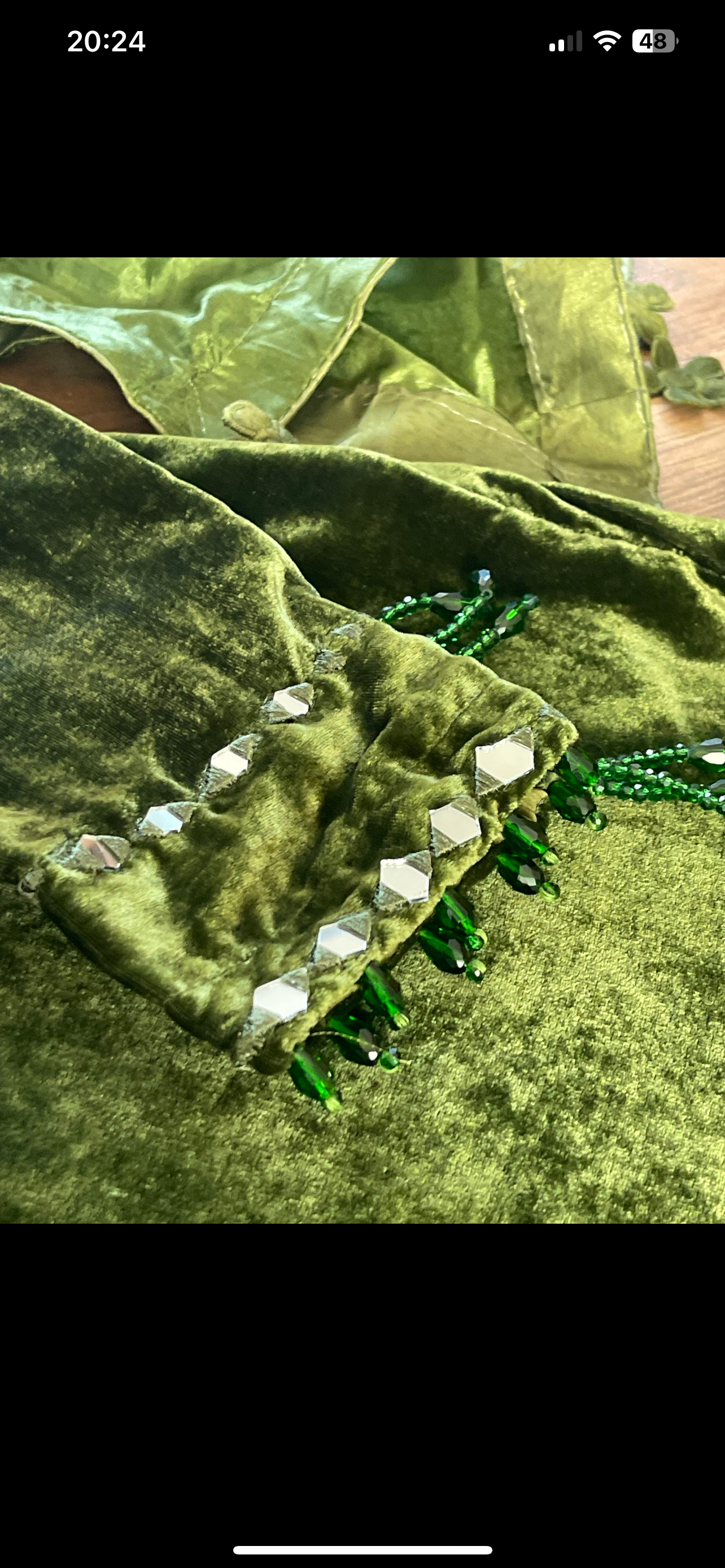 Olivia - Sheesha X Velvet Olive Green Plachi Daman with silk dupatta winter