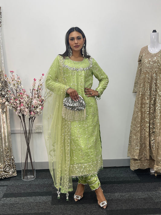 Ronaq- Korean Silk Cut Dana - Party Wear - Mint Green